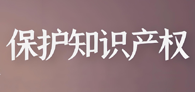 2025年知識產權行政保護工作方案
