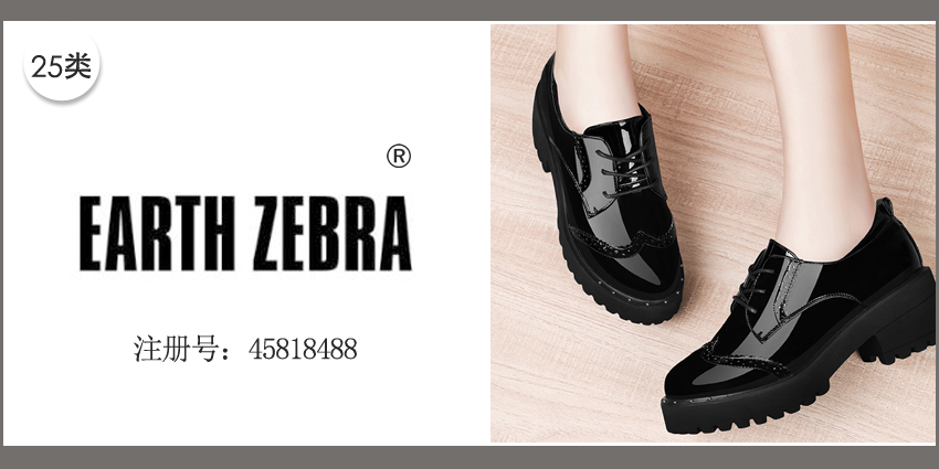 EARTH ZEBRA